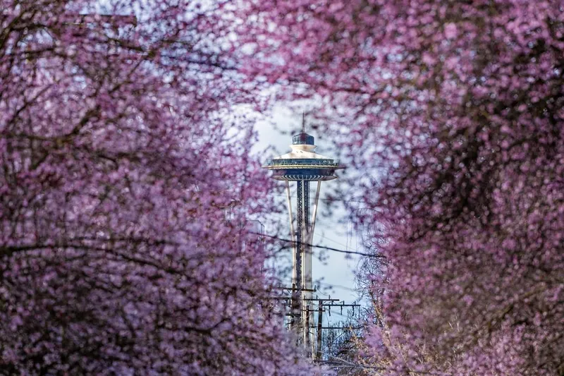 Space Needle in Seattle