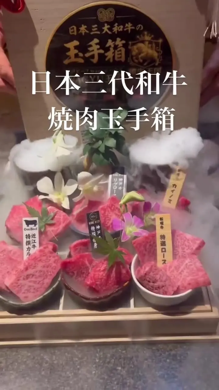 Kobe Beef Wagyu House Wagyu Kingdom namba yakiniku