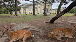 Nara National Museum