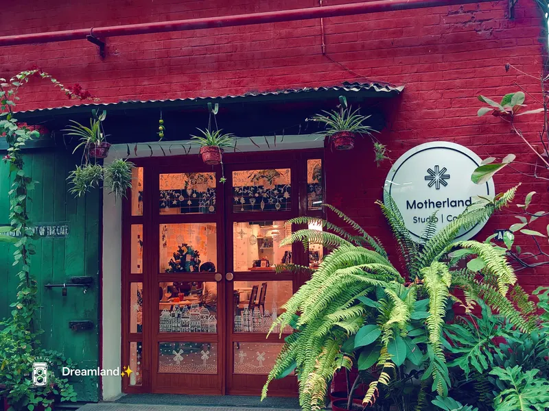 Motherland Cafe
