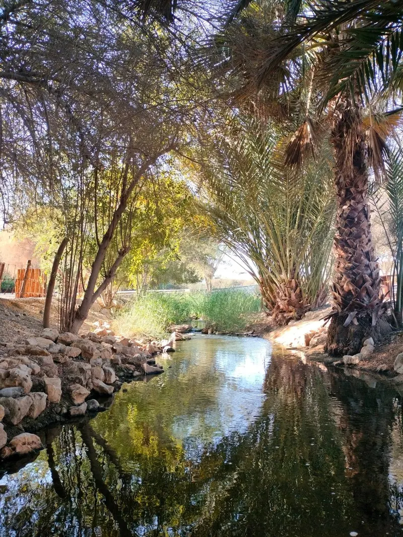 Al Ansab Wetlands