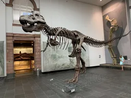 Naturmuseum Senckenberg
