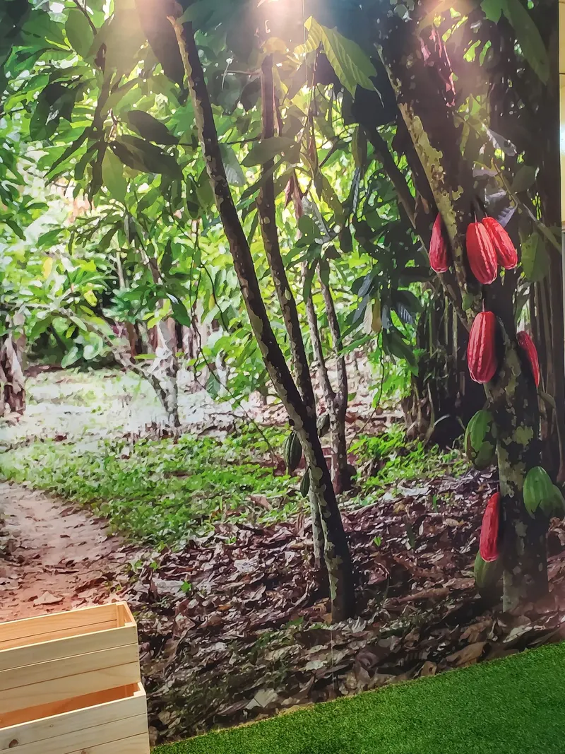 Ryverra Chocolate Story in Batu, Kuala Lumpur