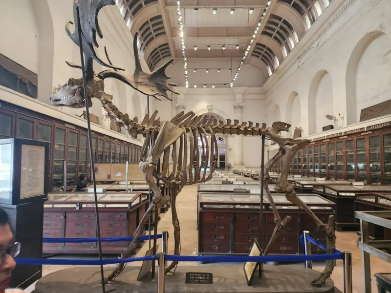Indian Museum in Kolkata