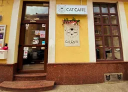 Cat Caffe Zagreb