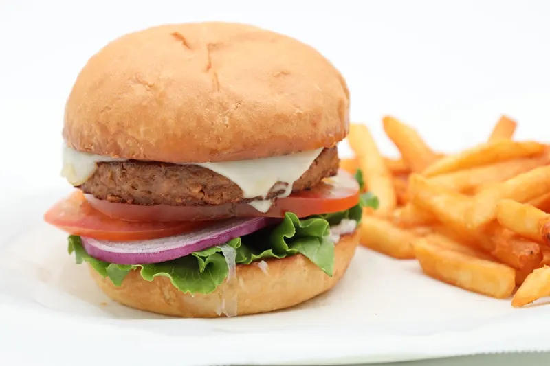 Gaia Masala & Burger