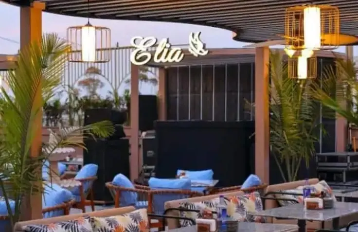 Elia Kitchen & Bar in Rajouri Garden, Delhi
