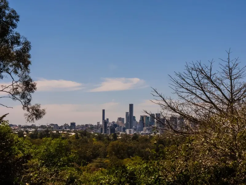 Mount Coot-tha Botanic Gardens and Lookout in Brisbane