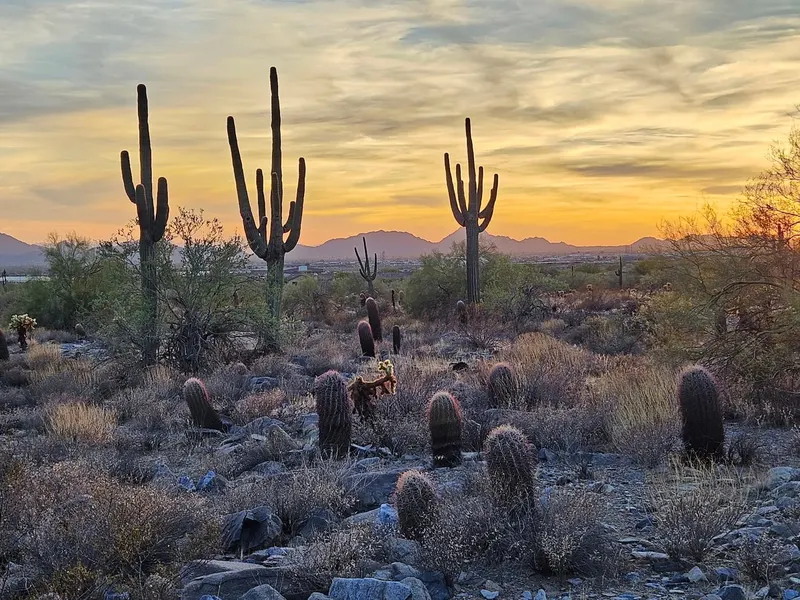 McDowell Sonoran Preserve in Scottsdale