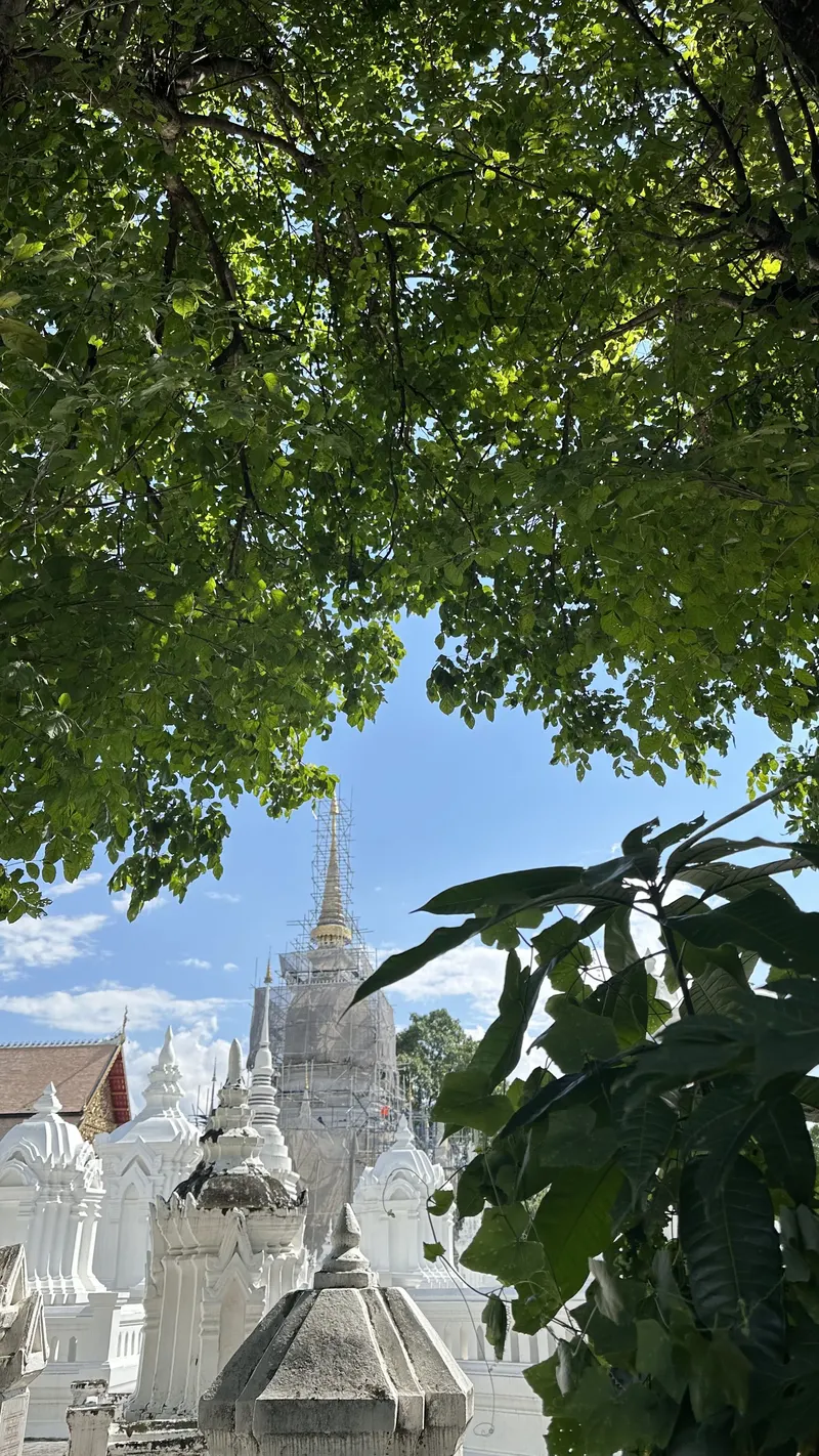 Wat Suan Dok