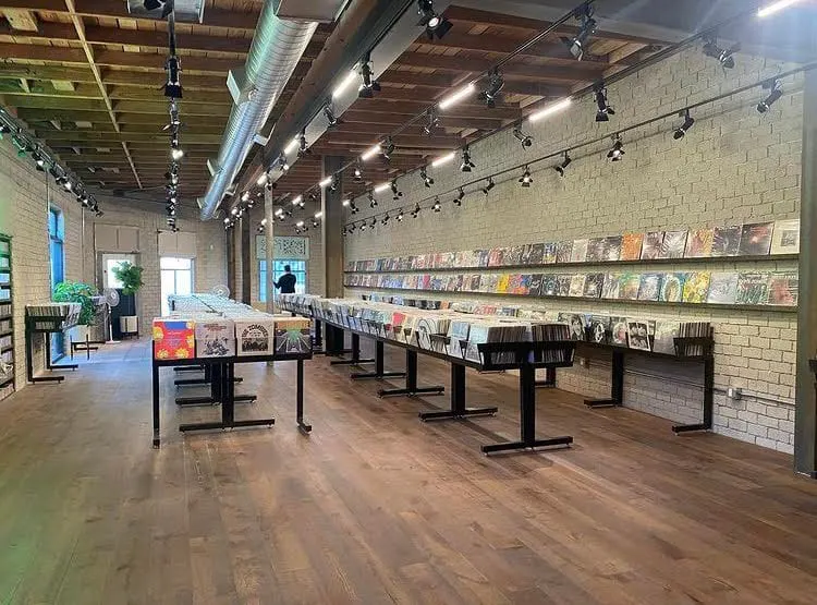 Record Safari in Atwater Village, Los Angeles