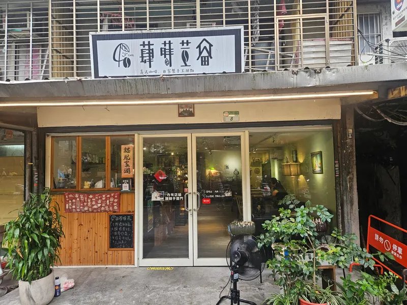 蕼蒔荳留