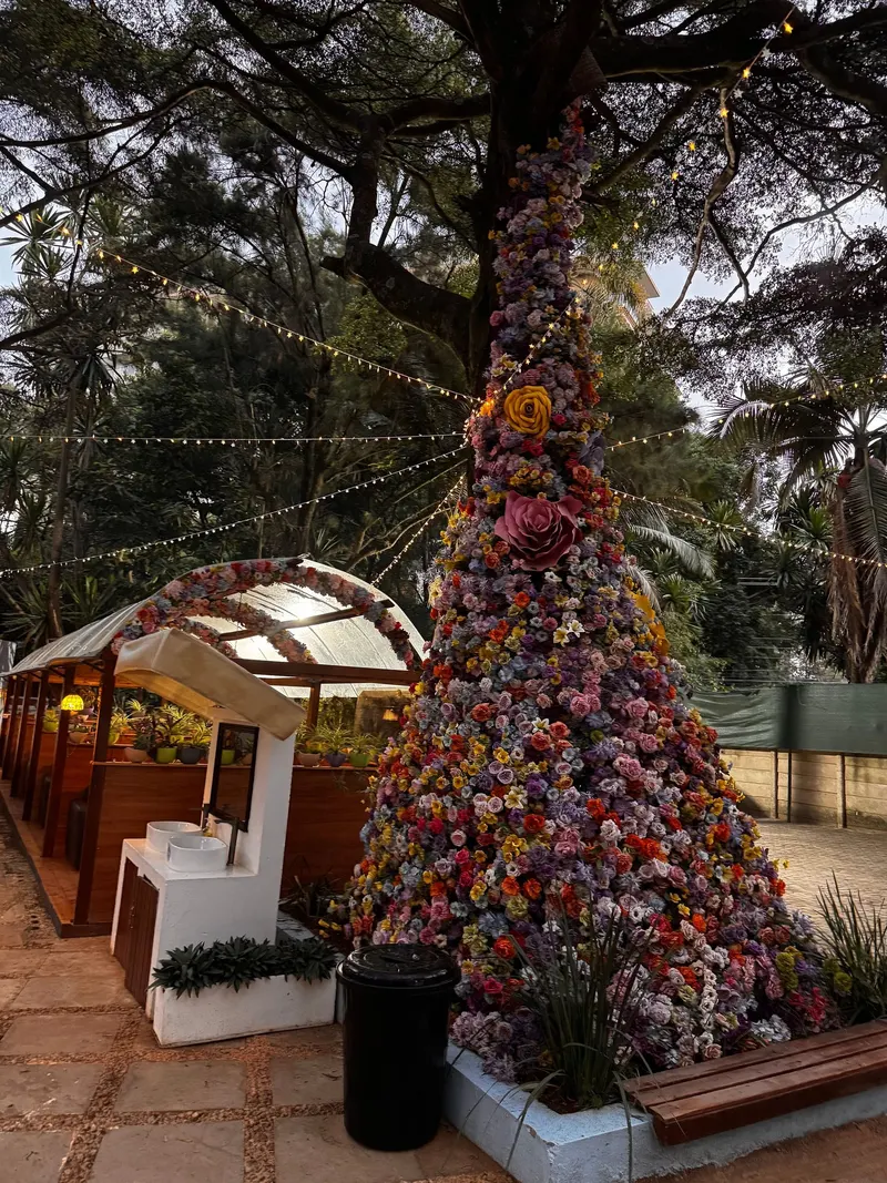 Mosaic Kitchen, Kilimani