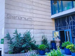 Geranium