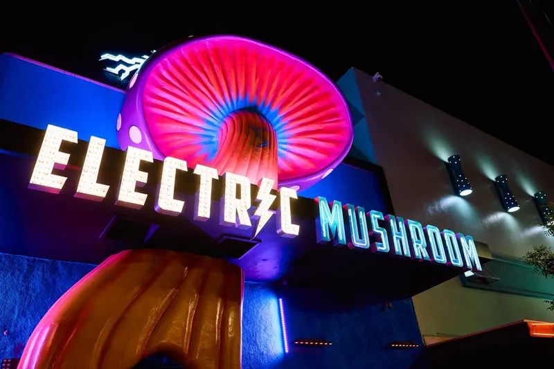 Electric Mushroom