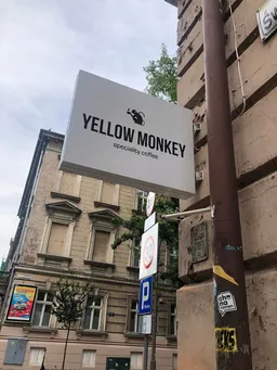 Yellow Monkey
