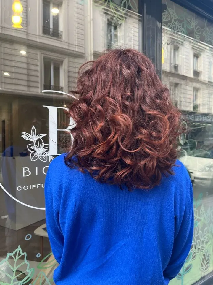 Bioness Coiffeur Bio et Head spa - Paris