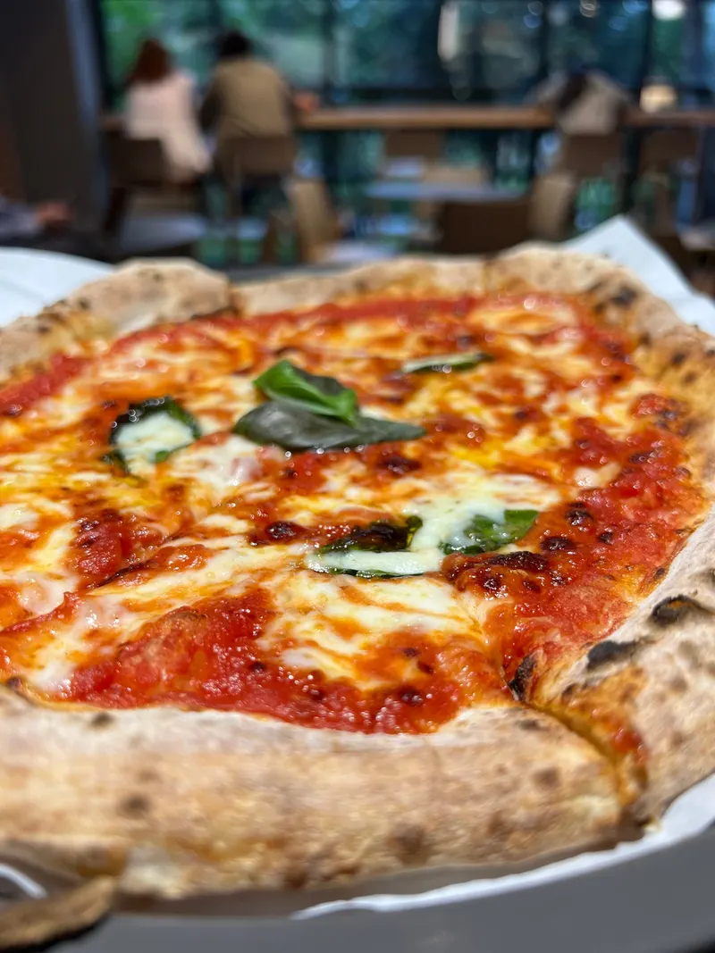 THE OVEN Pizza Napoletana