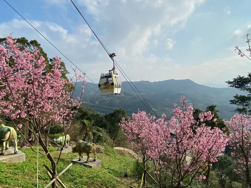 The Maokong Gondola