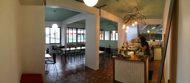 Forage in Balmoral, Auckland