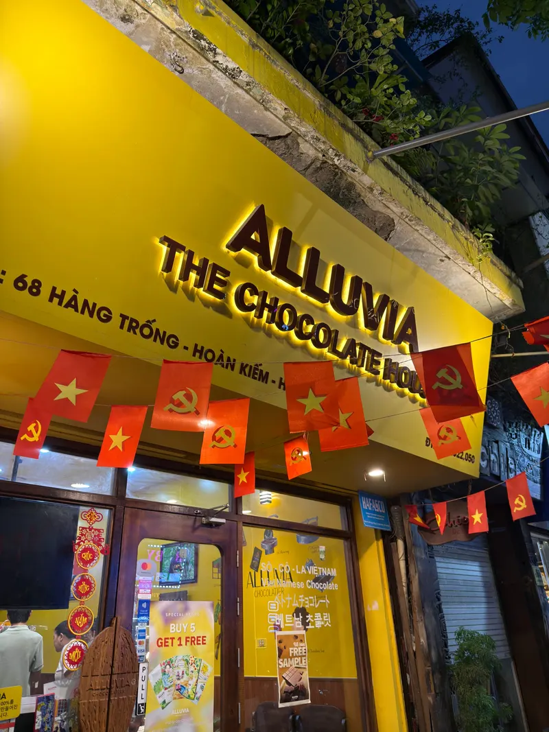 Alluvia Chocolate Hàng Trống