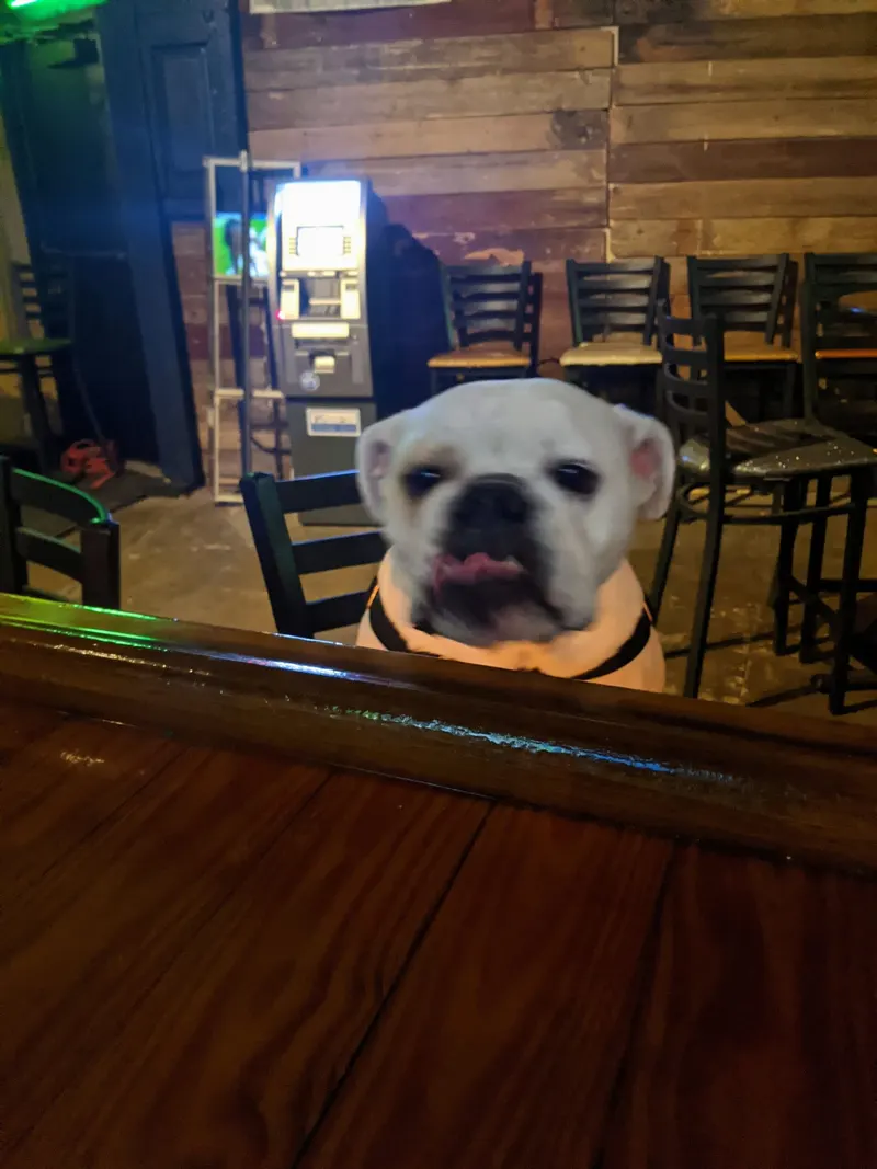 Pepp's Pub in Marigny, New Orleans
