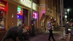 Karhu Pub