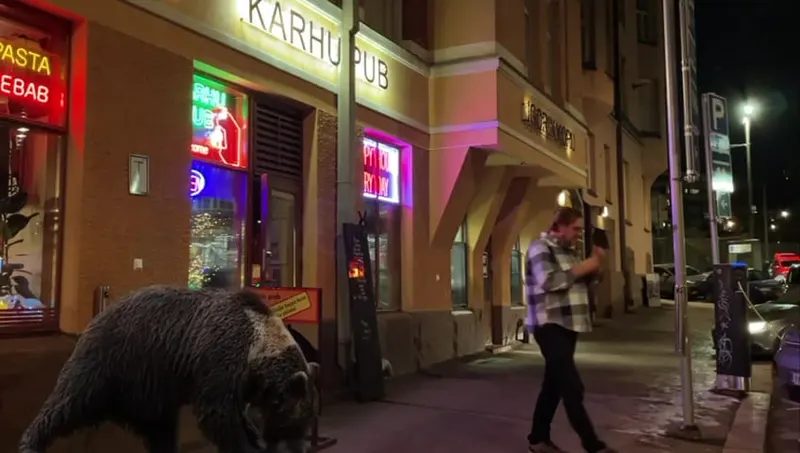 Karhu Pub