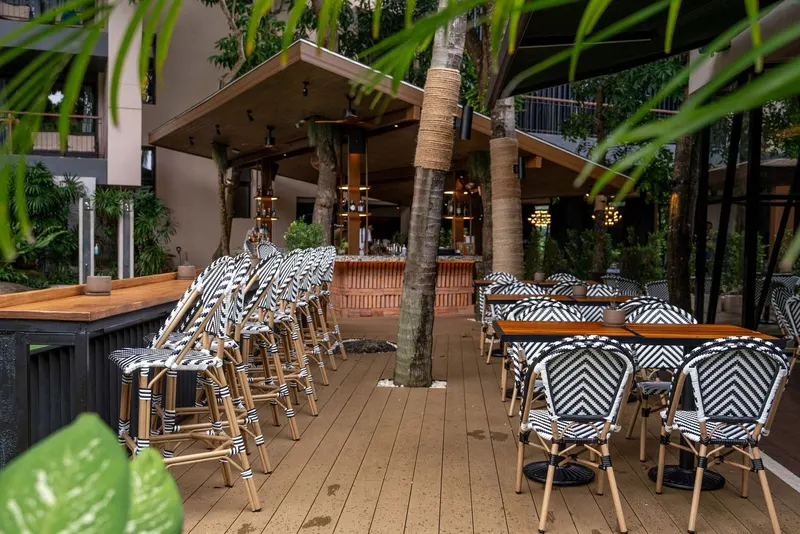Canopy Tree Bar