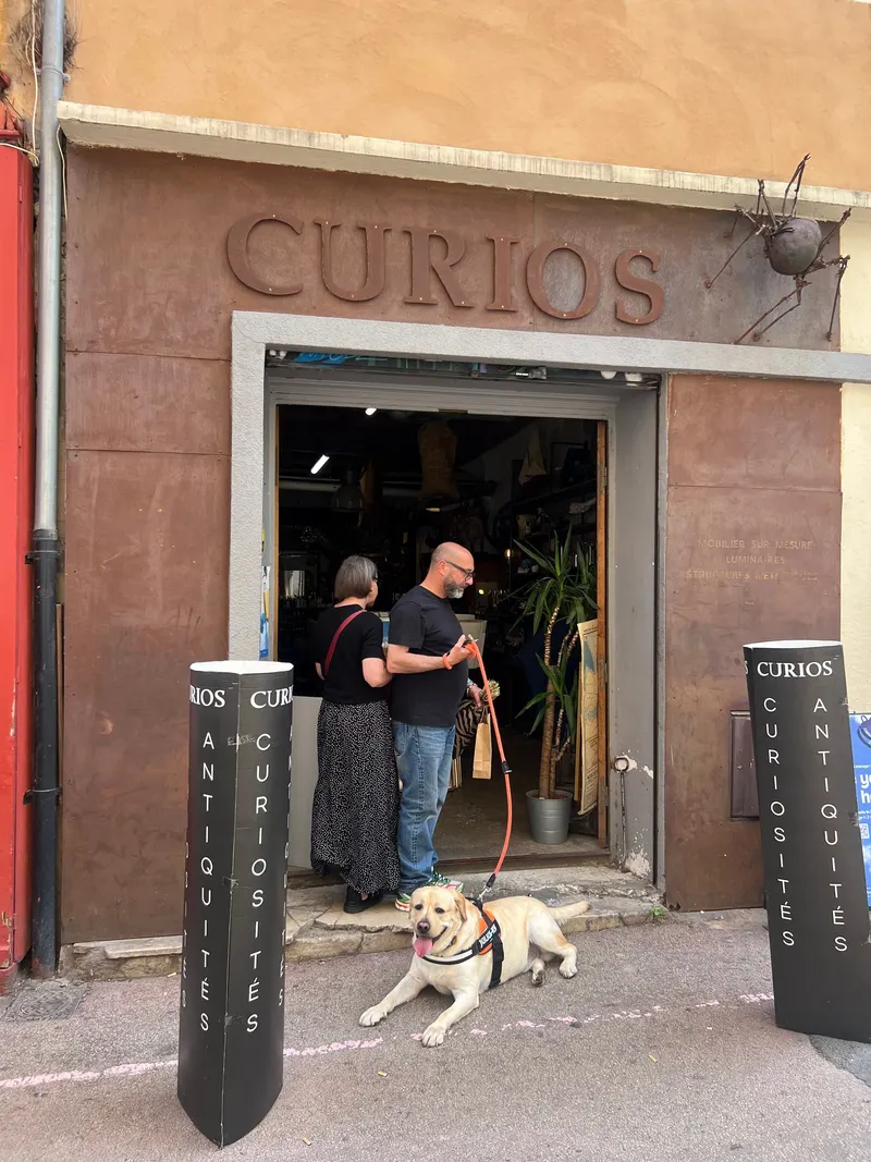 Curios, Cabinet De Curiosités Et Brocante