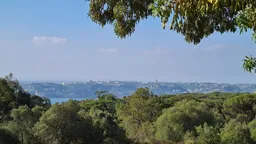 Parque Florestal de Monsanto