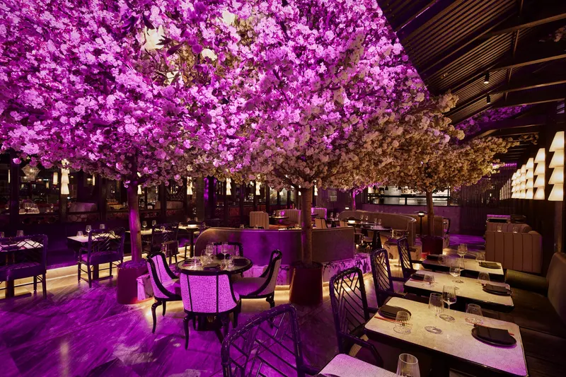 Tattu London in Holborn & Covent Garden, London