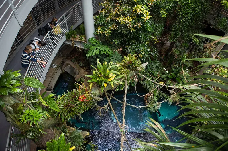 California Academy of Sciences