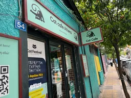 Cat Cafe Athens (7€/pers, Allowed Age 14+)