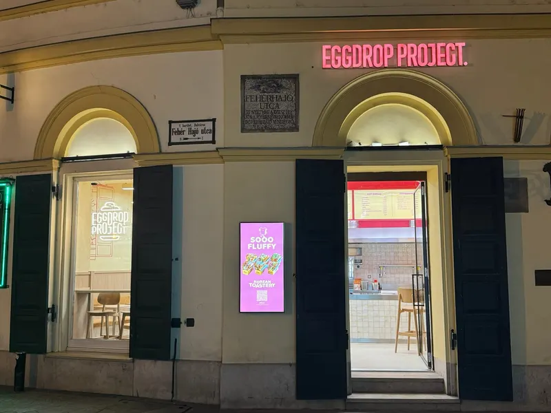 EGGDROP PROJECT