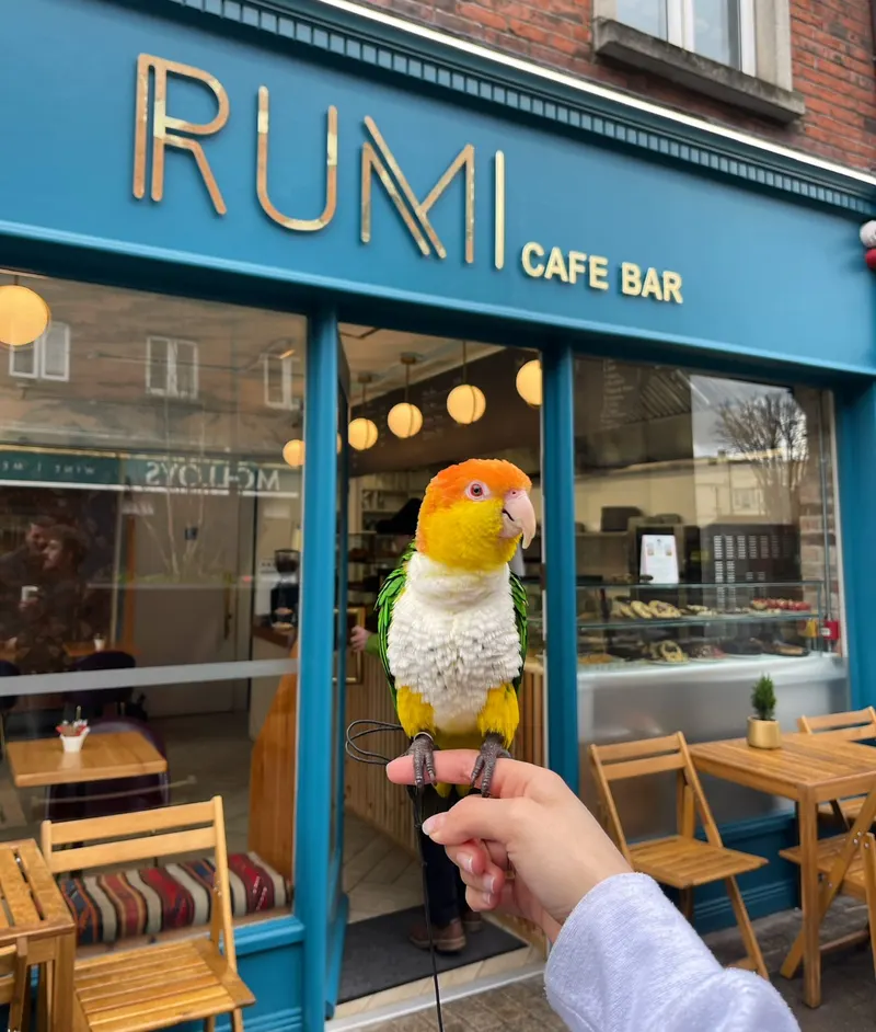 Rumi Cafe Francis Street