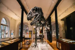 Lapworth Museum of Geology