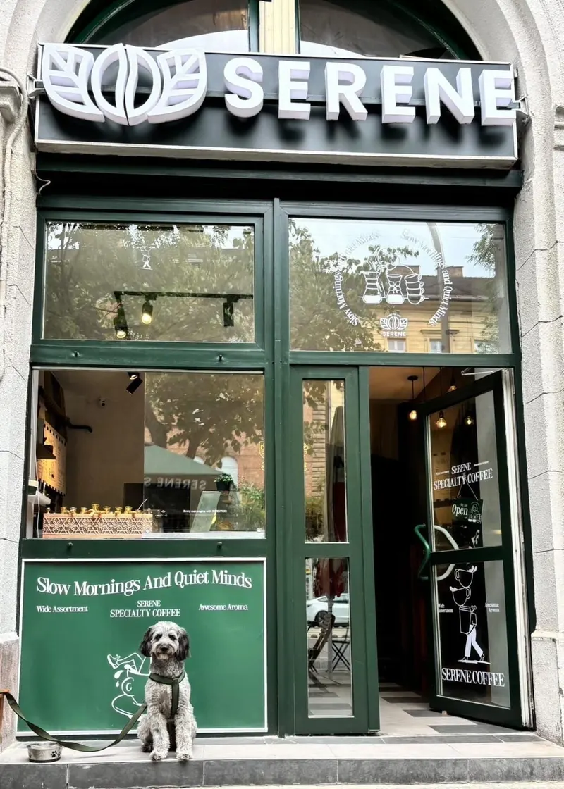 Serene in VIII. kerület, Budapest