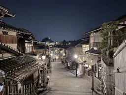 Pontocho Alley