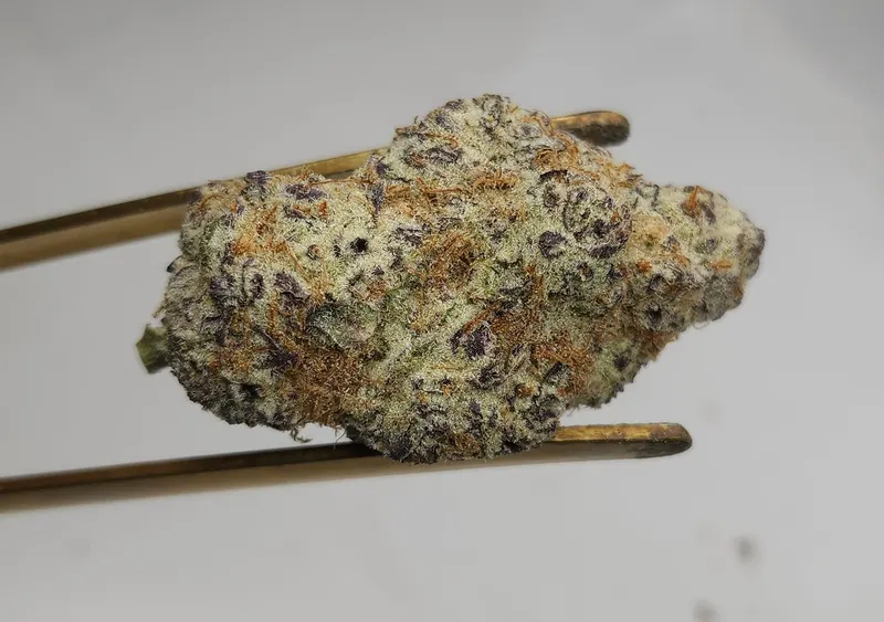Herbalist 420 Bang Tao