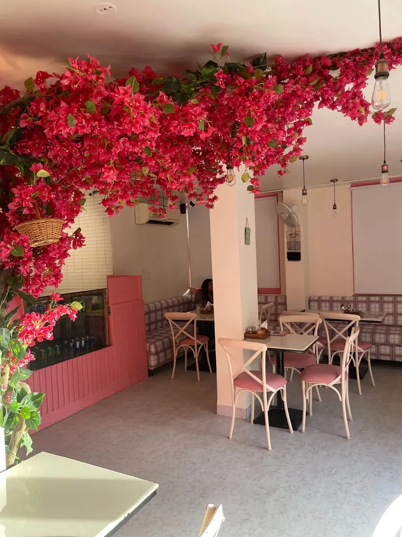 The Messy Door Cafe - Shastri Nagar