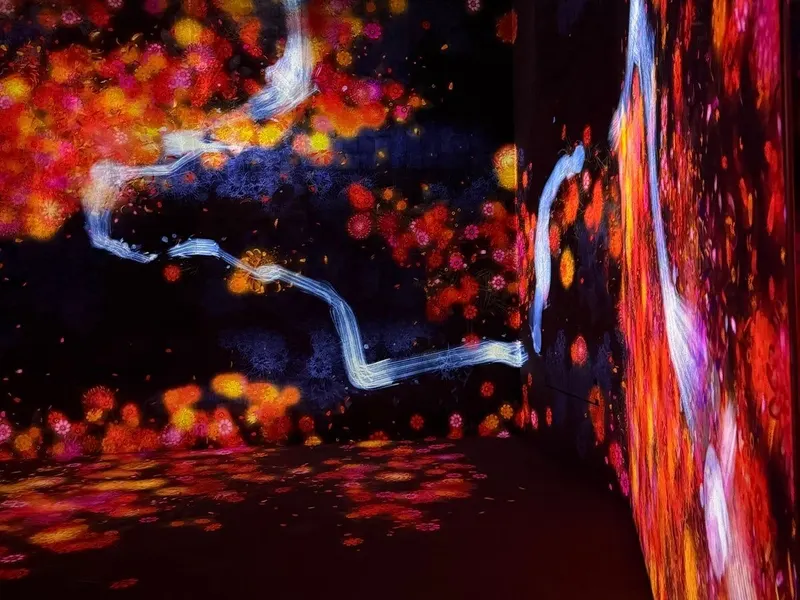 teamLab Borderless