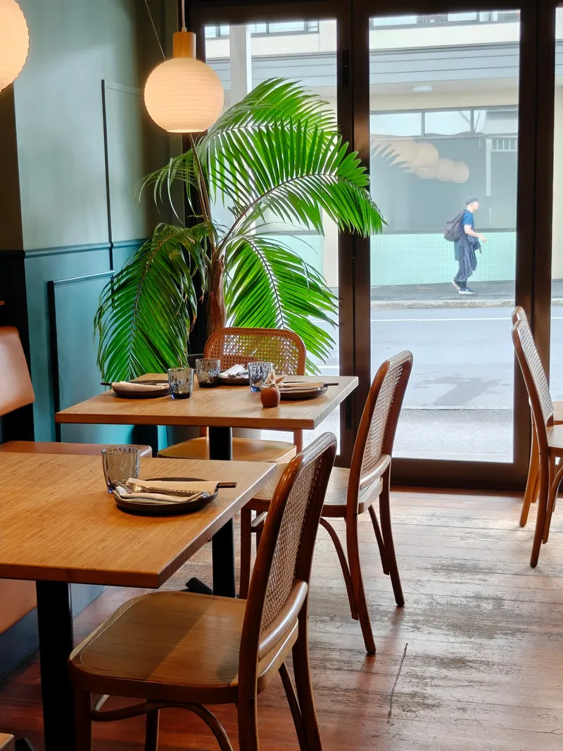 Koji in Mount Victoria, Wellington