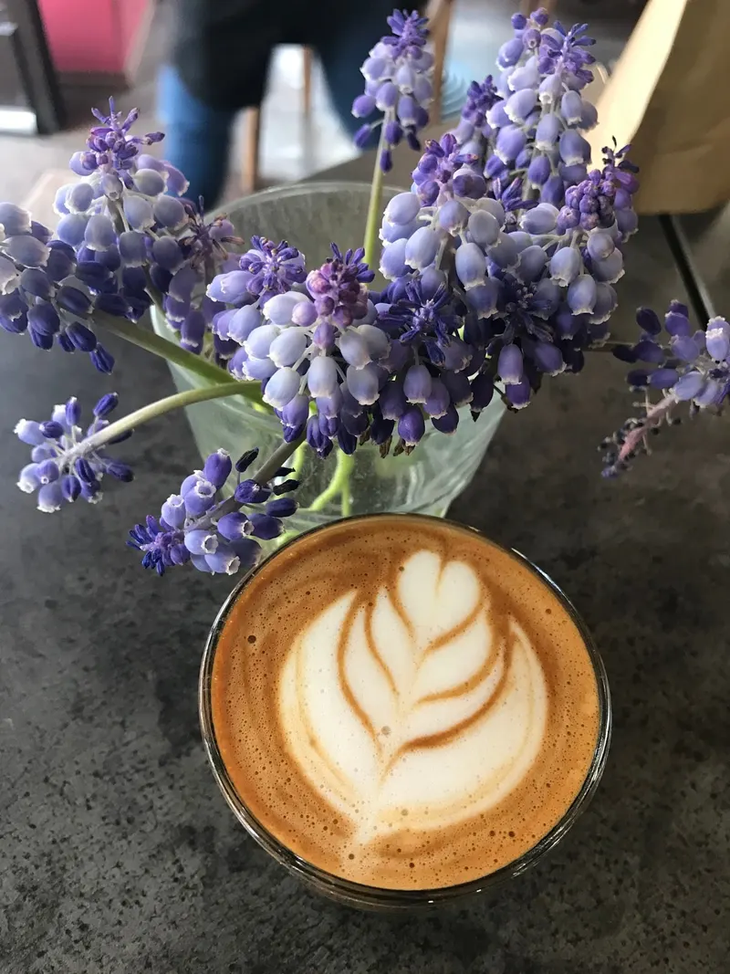 Coyote Coffee & Deli in Terezvaro, Budapest