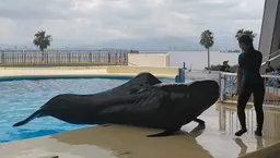 Marine World Uminonakamichi