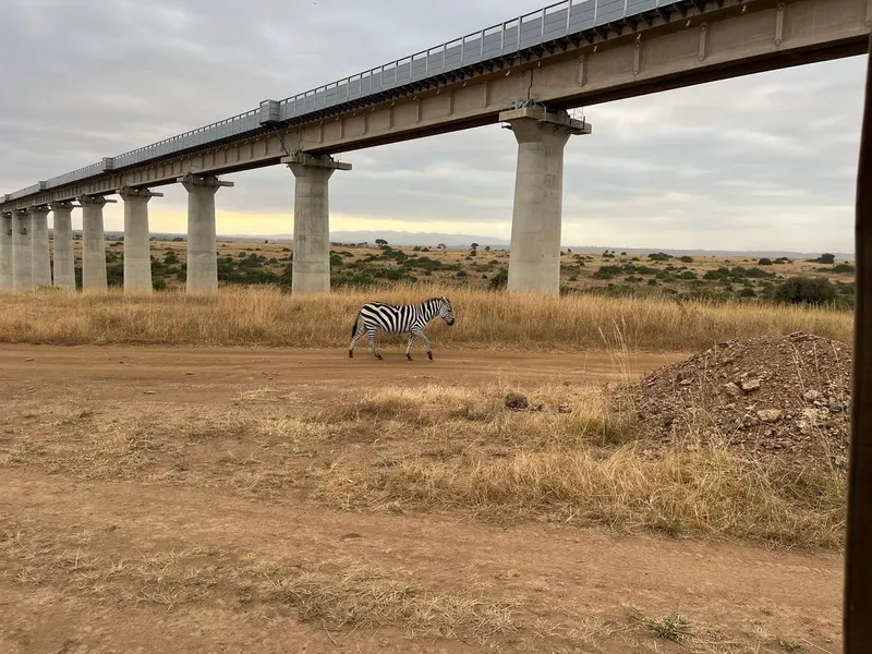 Nairobi National Park in Nairobi