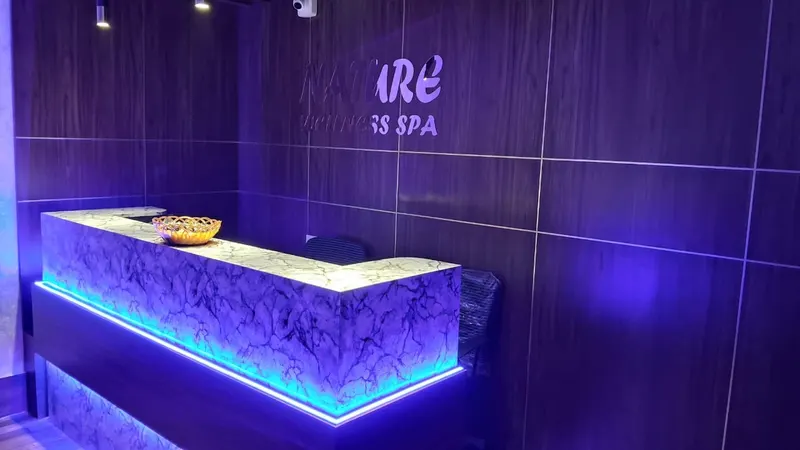 Nature Wellness Spa Lower Parel