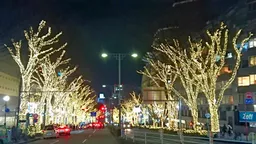 Omote-Sandō Avenue
