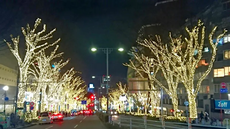 Omote-Sandō Avenue