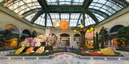 Bellagio Fountains and Conservatory